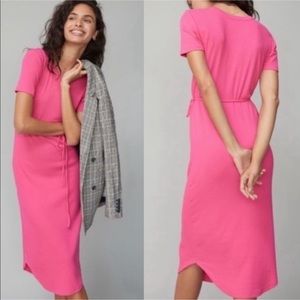 NWT Anthropologie Pink Saturday Sunday dress xs